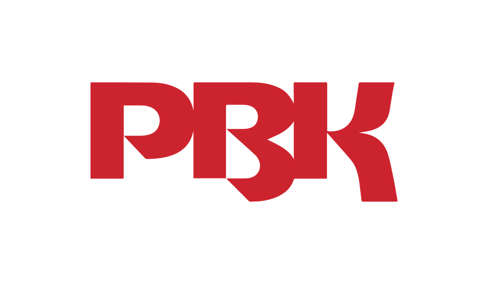 纳思合作logo_画板 1 副本